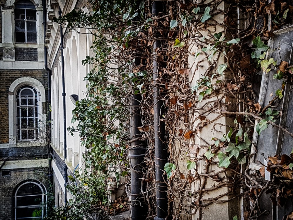 20160311_101633-Edit-16