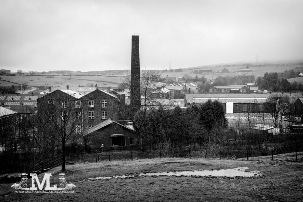 DSC_6614-Edit-2-Edit