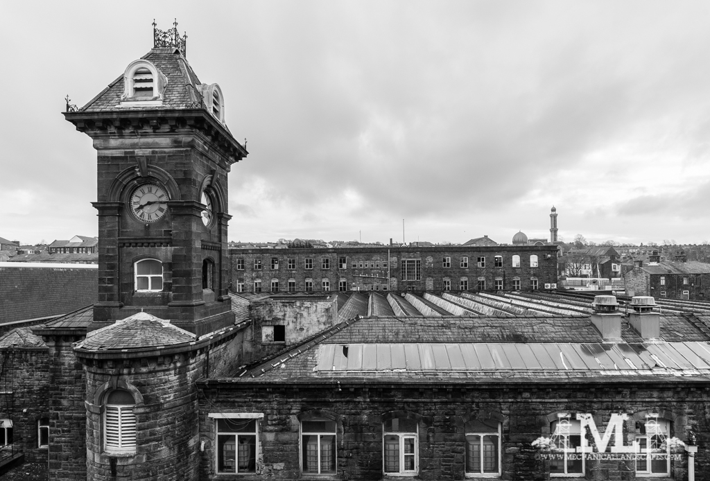 DSC_6845.jpg