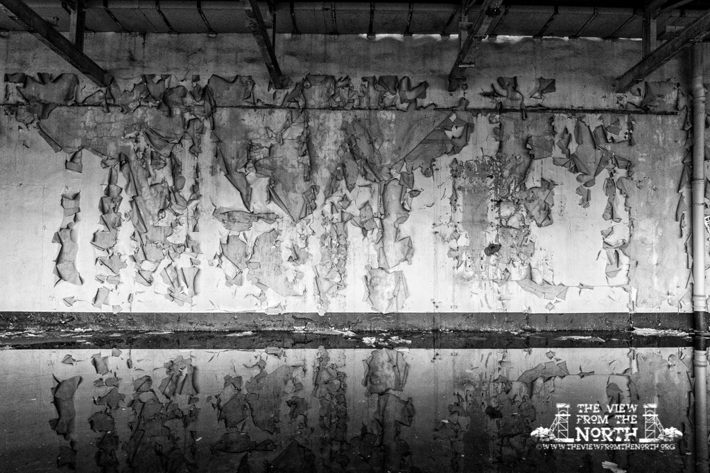 DSC_6882-Edit-341.jpg