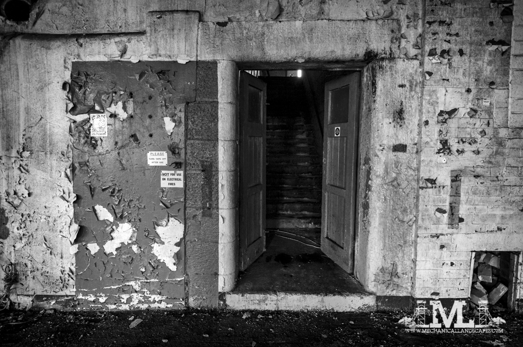 DSC_6890-Edit-351.jpg