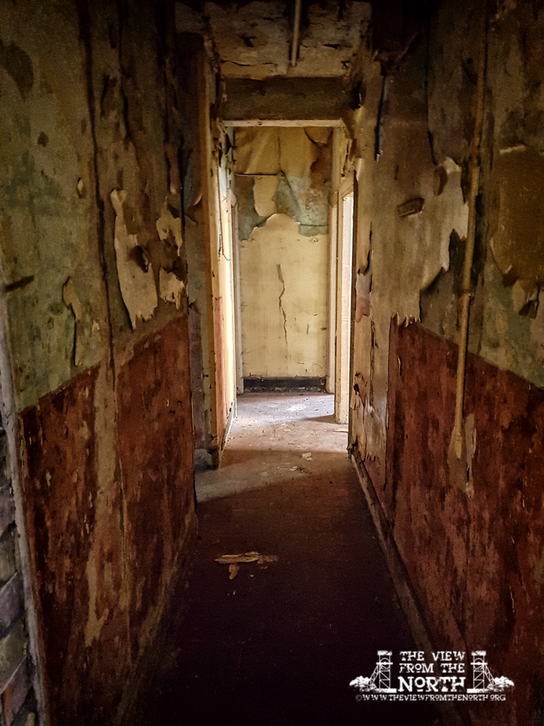 20160307_092840-Edit-Edit.jpg