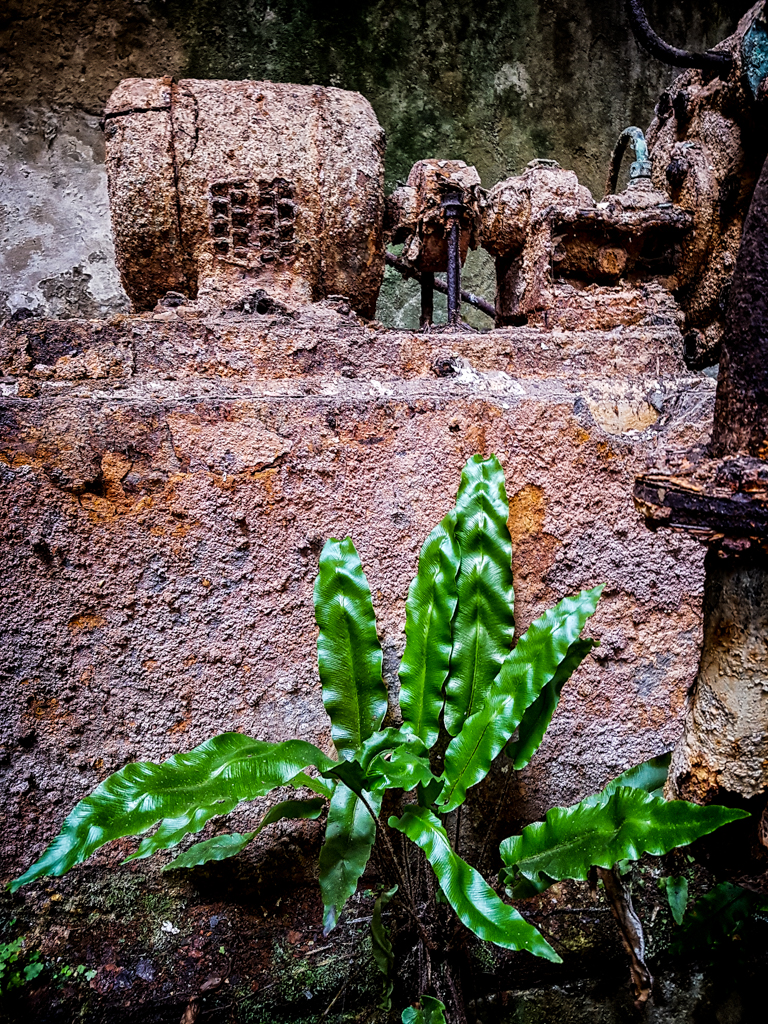 20160311_143958-Edit-108