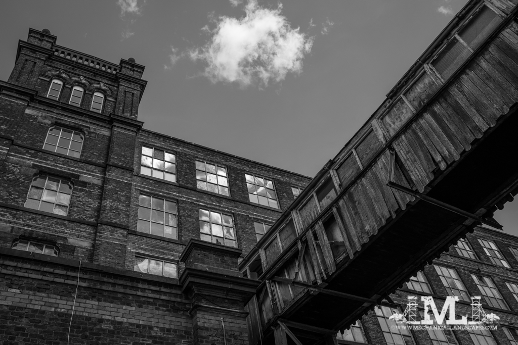 DSC_2008