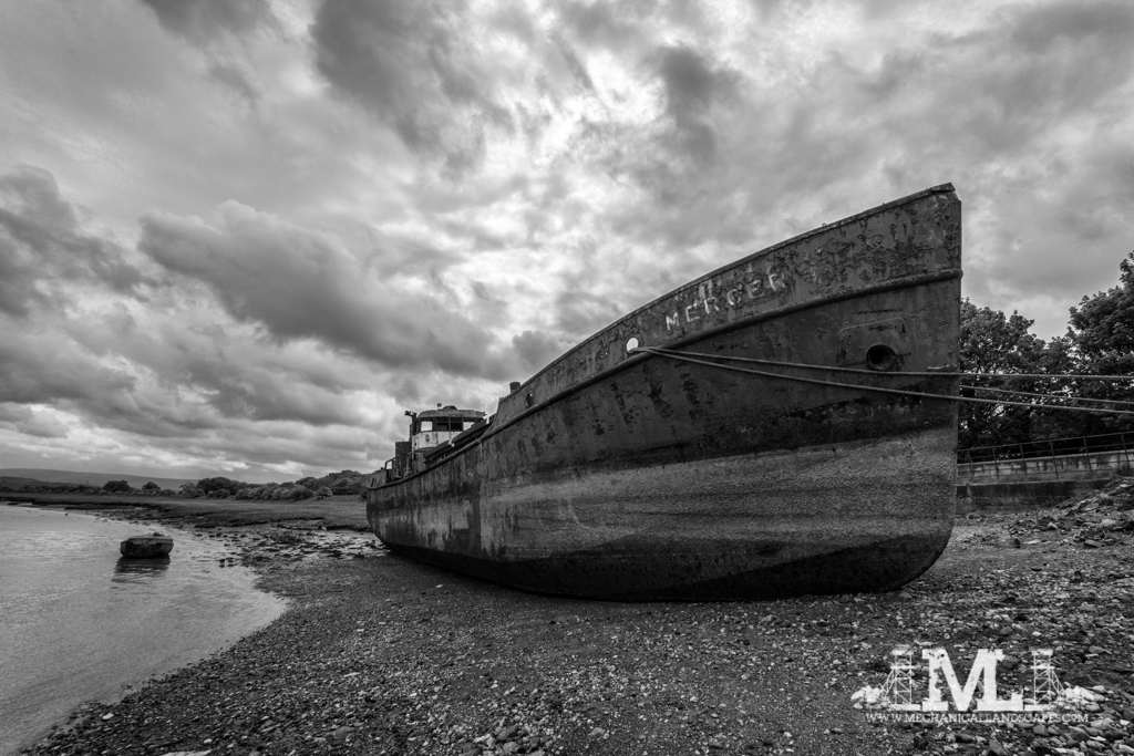 DSC_4549-Edit