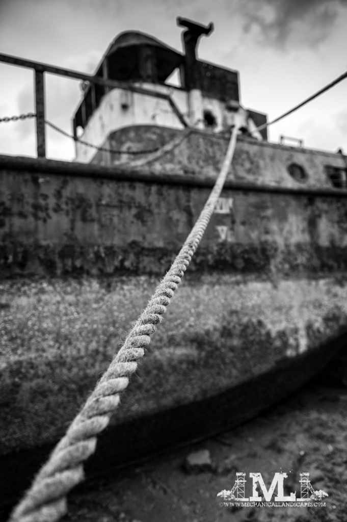 DSC_8876-Edit