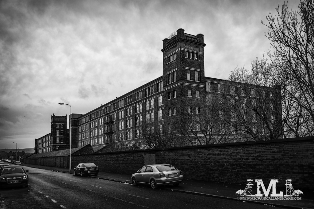 DSC_5334-Edit