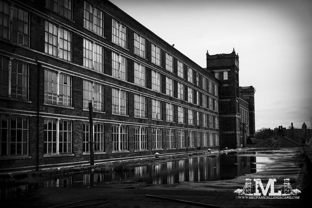DSC_5341-Edit