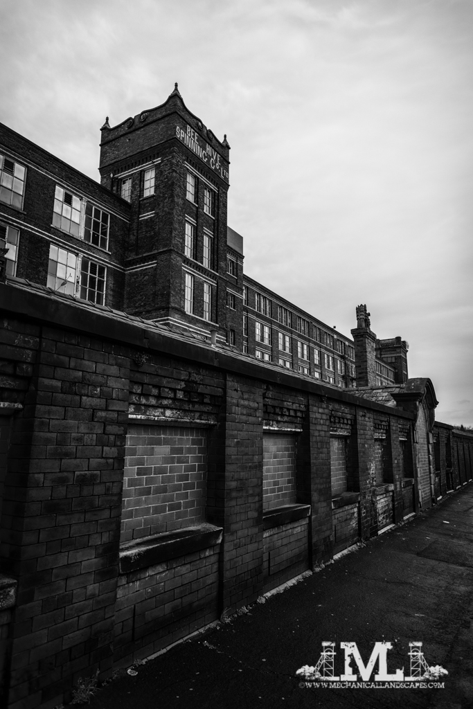 DSC_5344-Edit