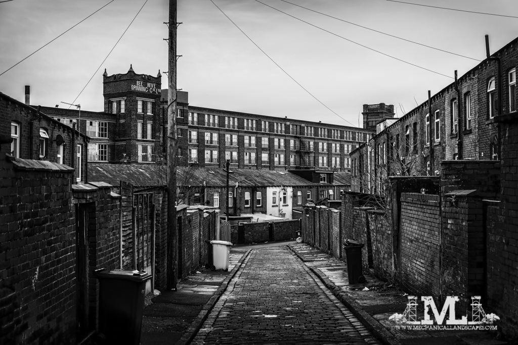 DSC_5351-Edit