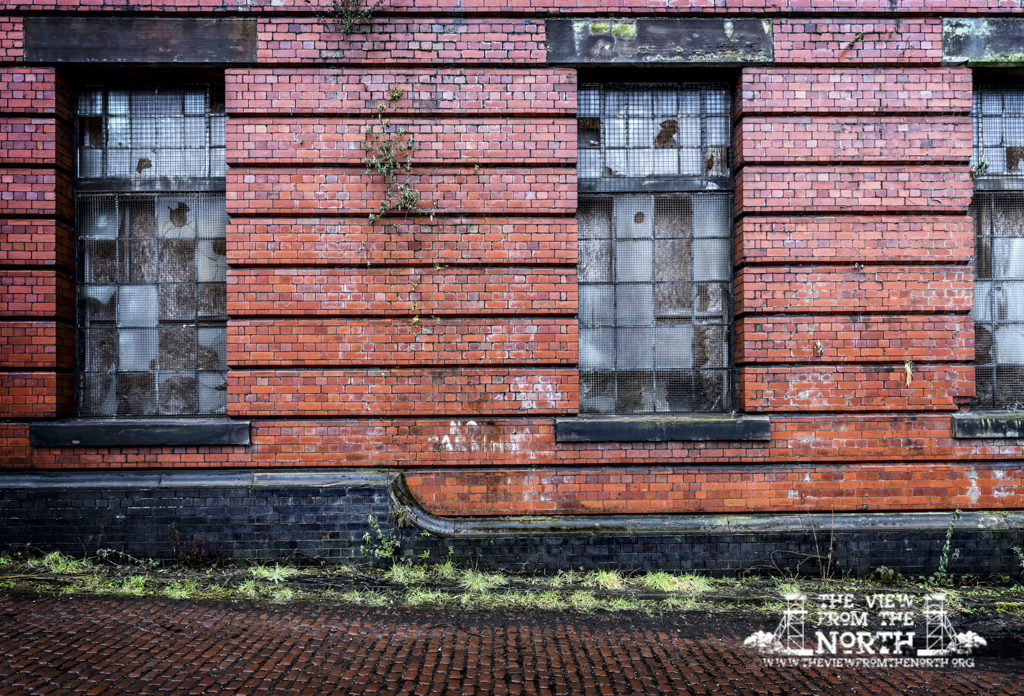 DSC_5534-Edit-2