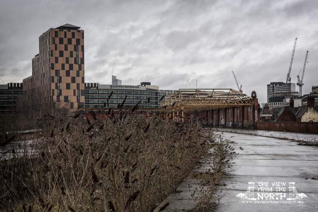 DSC_5537-Edit-2