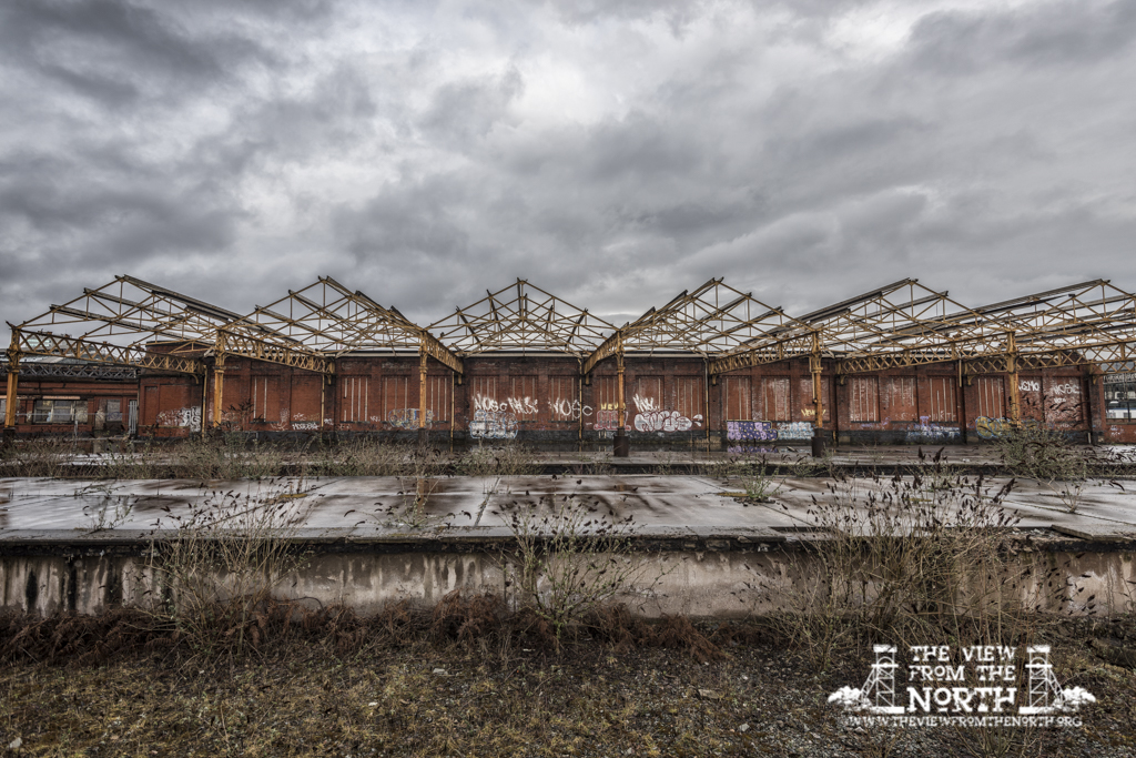 DSC_5563-Edit-2