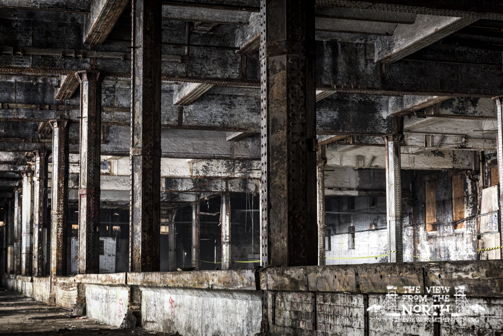 DSC_5624-Edit