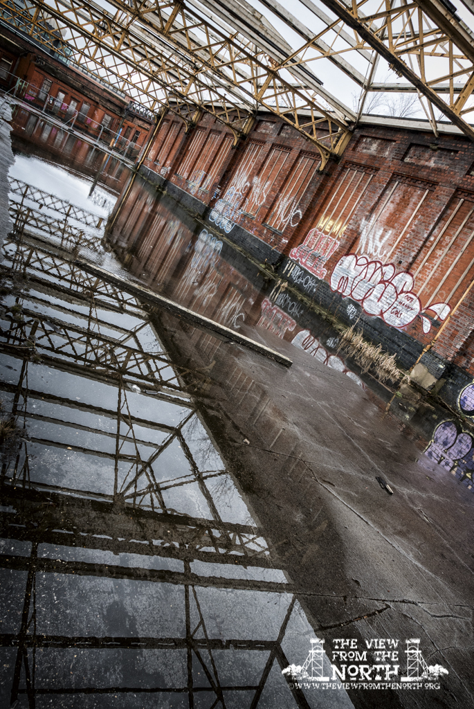 P1260067-Edit-2