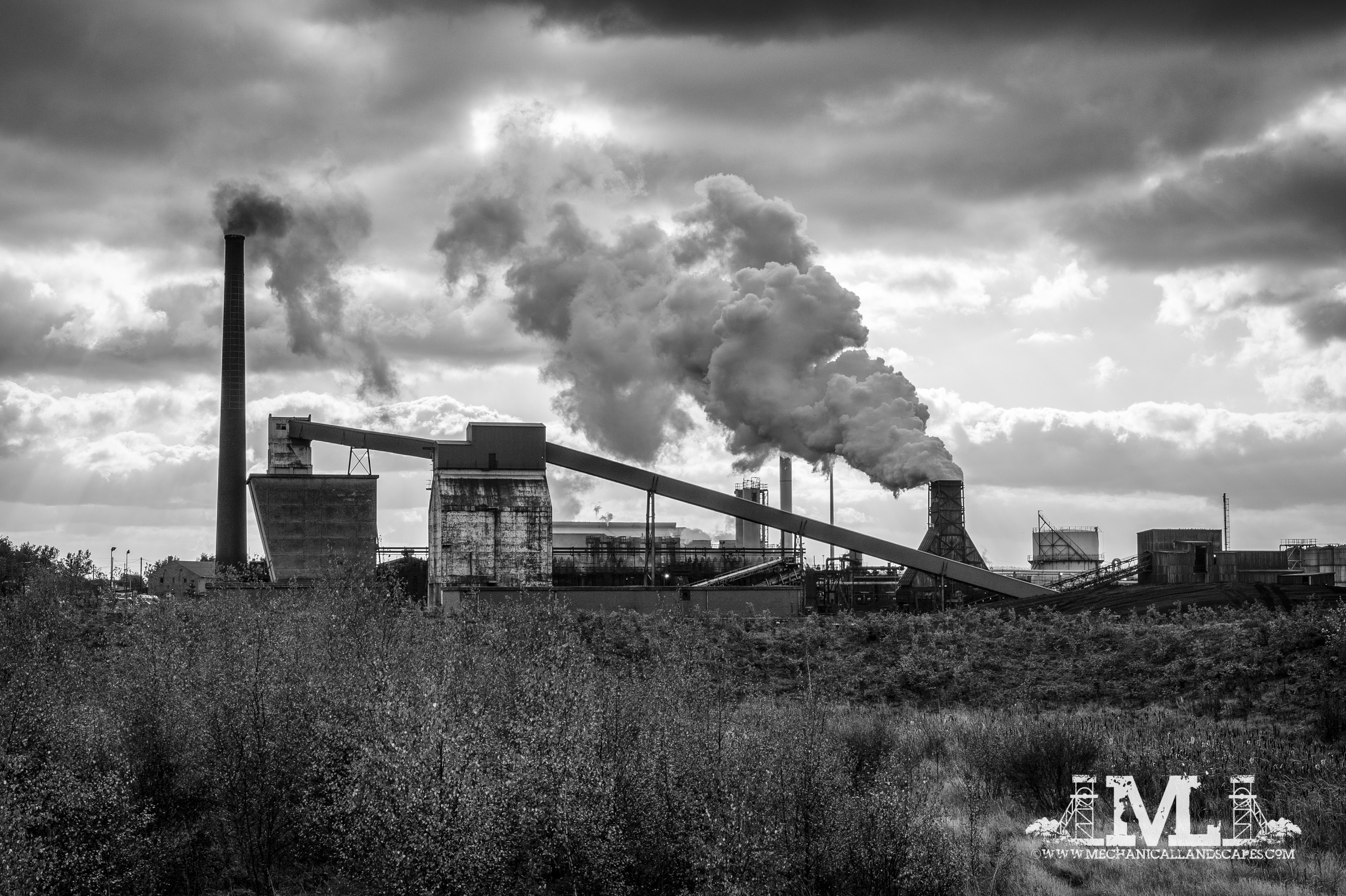 DSC_2967-Edit