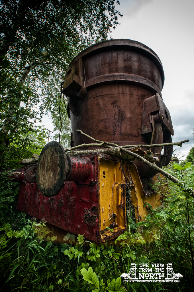 DSC_5596-Edit-2