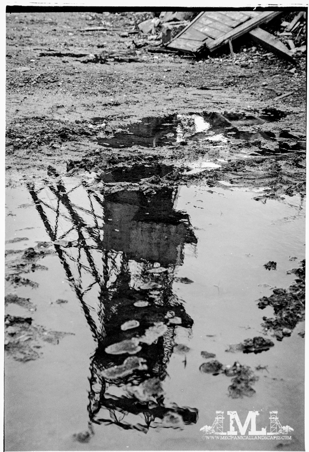 #522 – Old Negative Scans Part 2 – Grove&nbsp;Rake