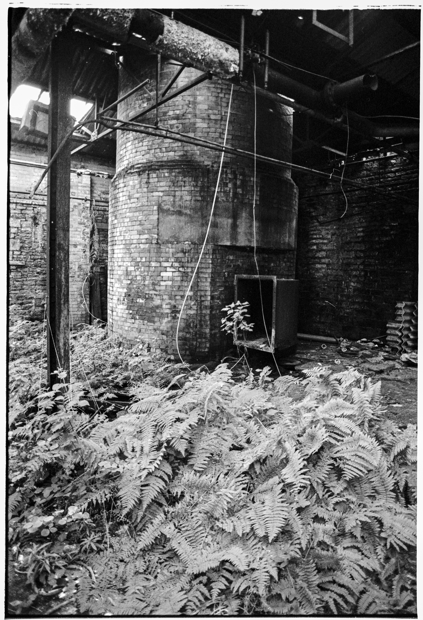 Royd Edge Mills Scan-3