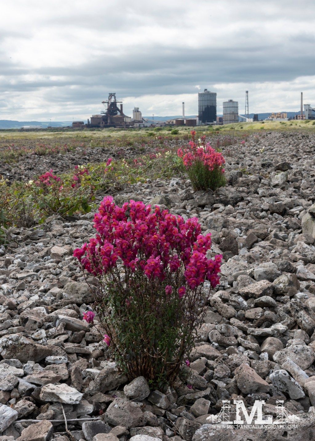 #534 – In memoriam, Redcar&nbsp;Steelmaking