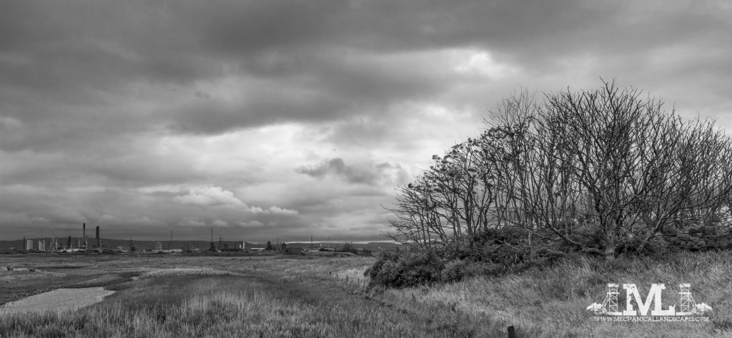 #535 – Teesside&nbsp;Landscapes