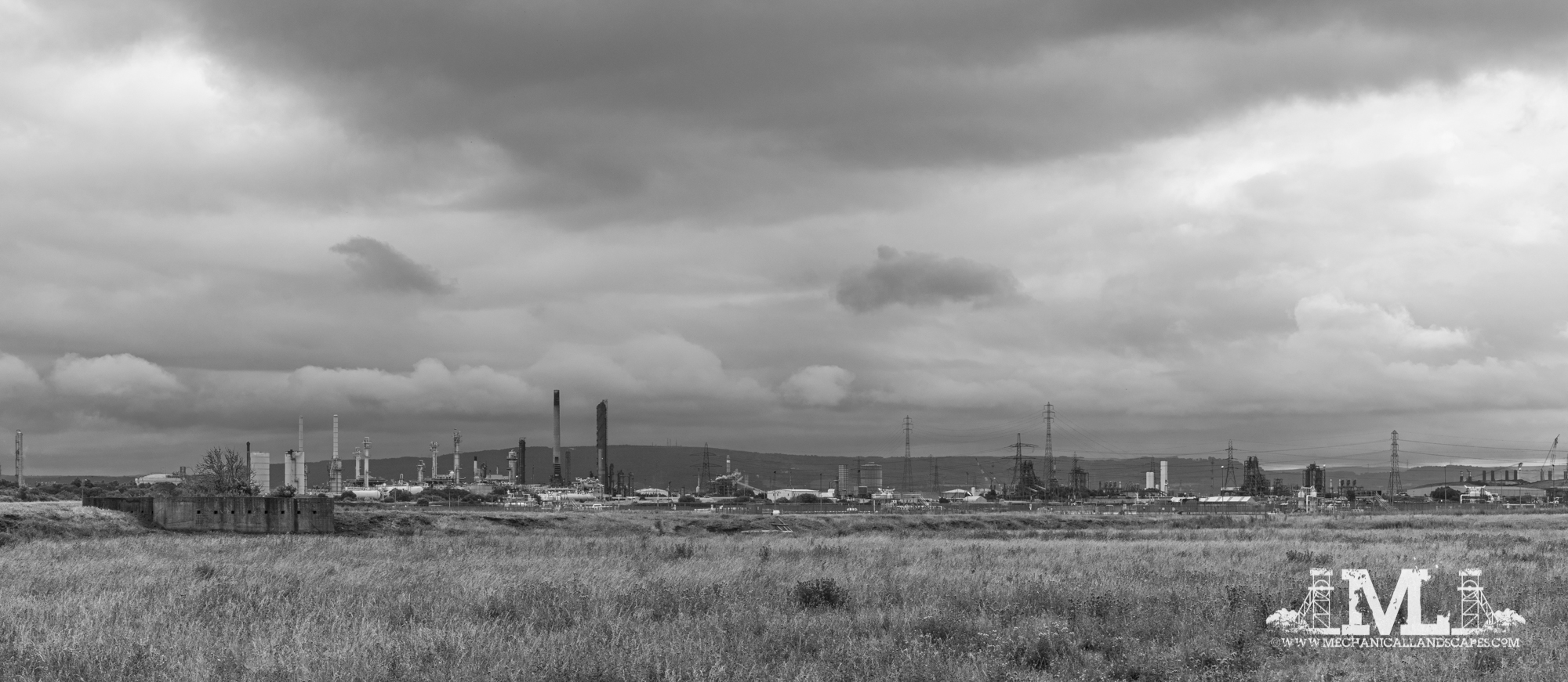 DSC_8007